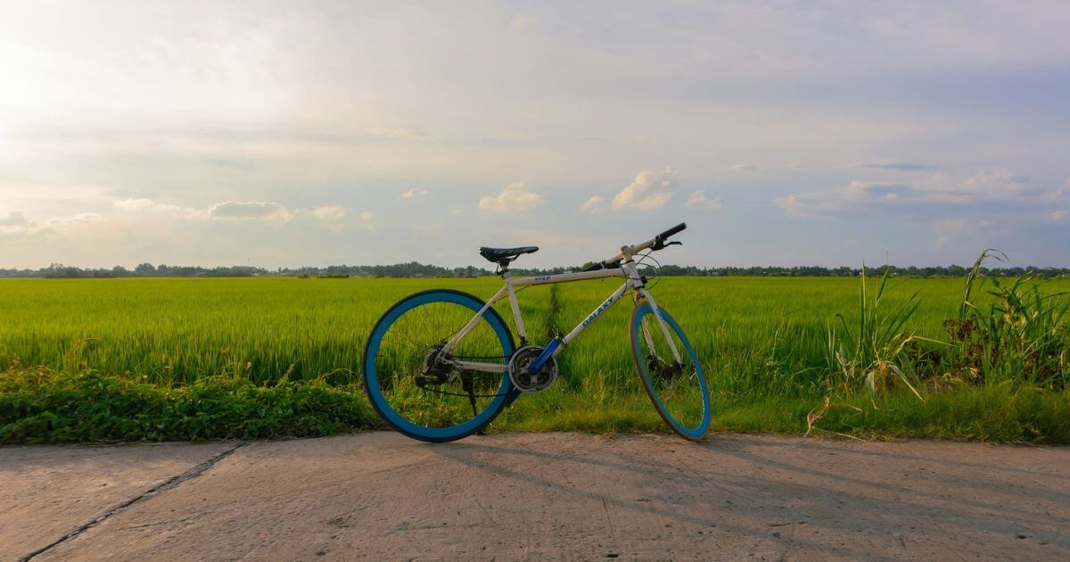 自転車と畑