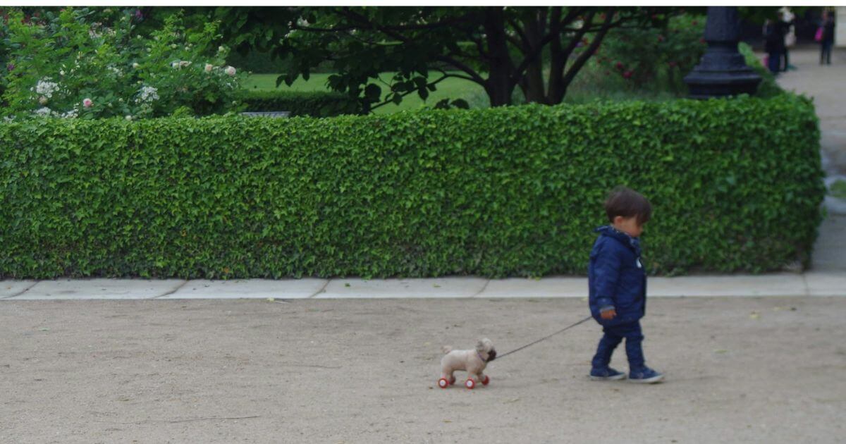 子どもと犬