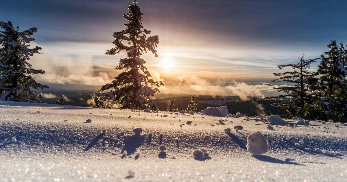 光る雪