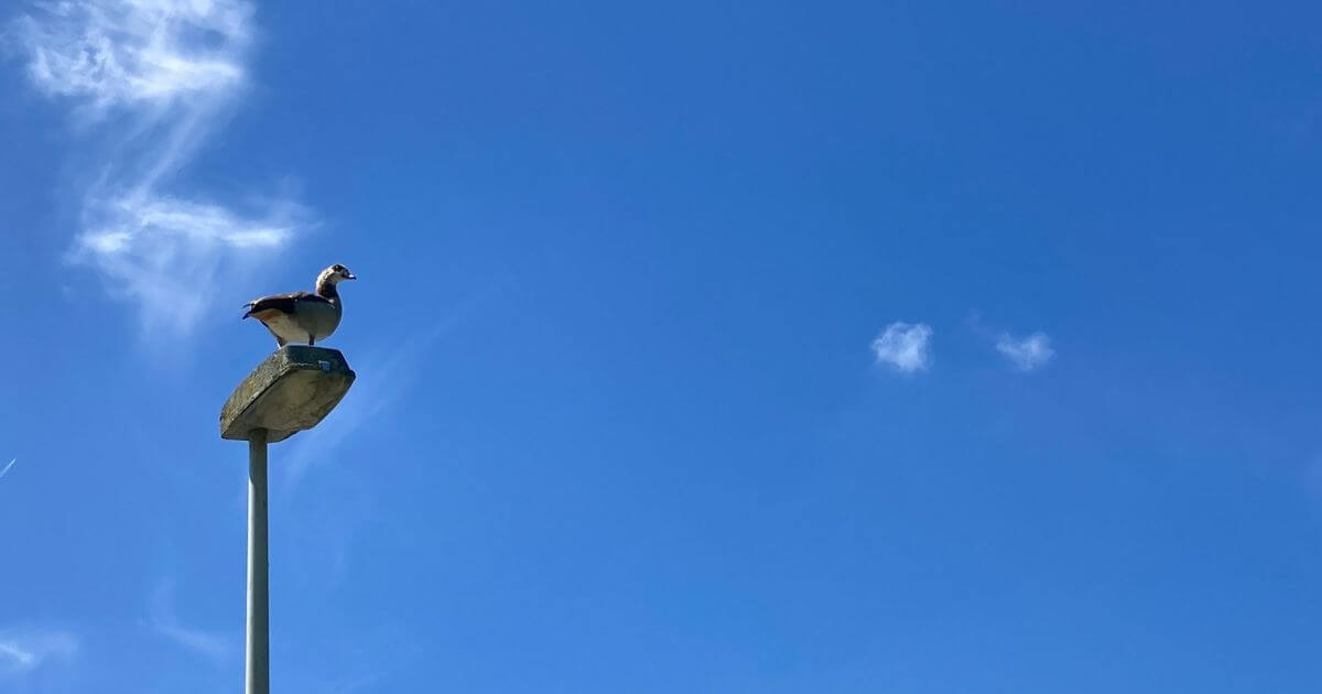 目を上げよ