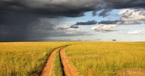 嵐が起こっても