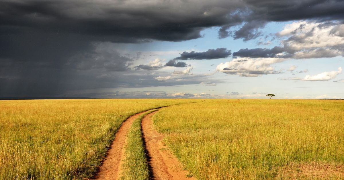 嵐が起こっても